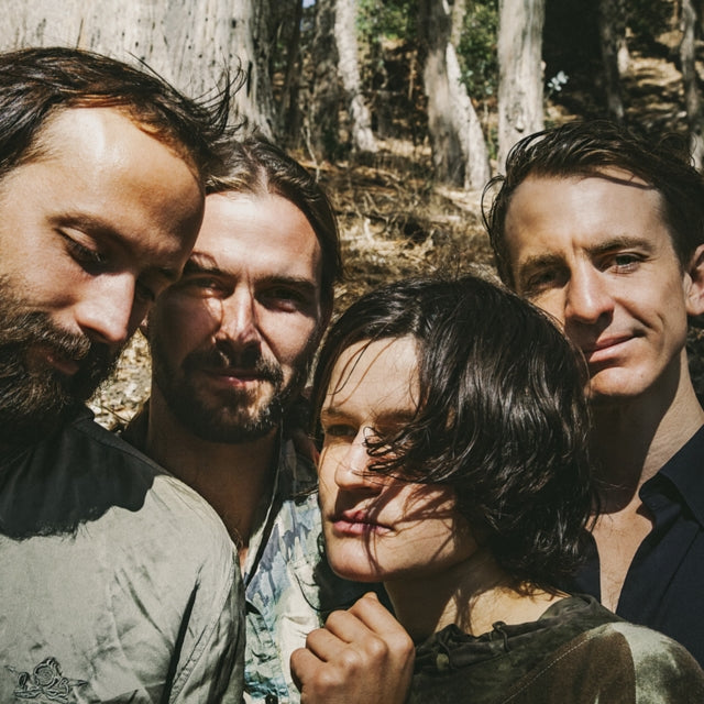 BIG THIEF | TWO HANDS | VINYL RECORD (LP)