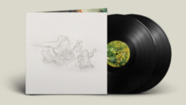 BIG THIEF | DRAGON NEW WARM MOUNTAIN I BELIEVE IN YOU (2LP) | VINYL RECORD (LP)