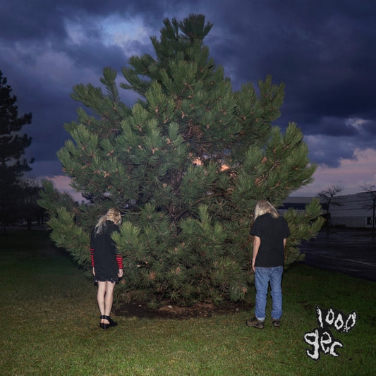 100 GECS | 1000 GECS | VINYL RECORD (LP)