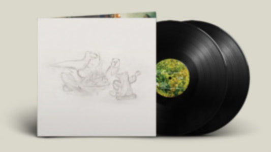 BIG THIEF | DRAGON NEW WARM MOUNTAIN I BELIEVE IN YOU (2LP) | VINYL RECORD (LP)