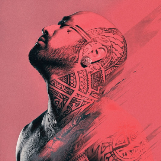 NAHKO & MEDICINE FOR PEOPLE | TAKE YOUR POWER BACK | VINYL RECORD (LP)