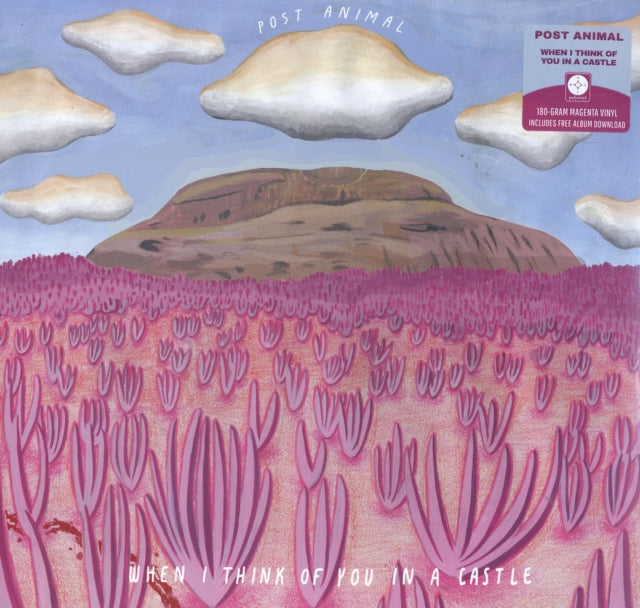 POST ANIMAL | WHEN I THINK OF YOU IN A CASTLE (180G/COLORED VINYL/DL CARD) | VINYL RECORD (LP)