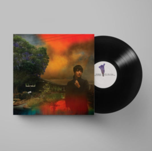 VAN ETTEN, SHARON | WE'VE BEEN GOING ABOUT THIS ALL WRONG | VINYL RECORD (LP)