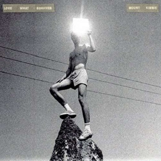 MOUNT KIMBIE | LOVE WHAT SURVIVES | VINYL RECORD (LP)