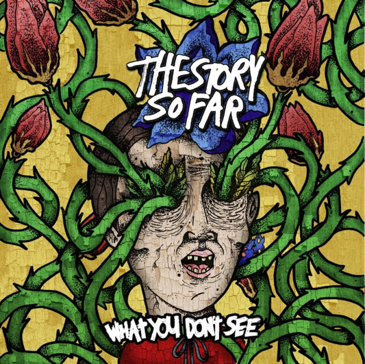 STORY SO FAR | WHAT YOU DON'T SEE | VINYL RECORD (LP)